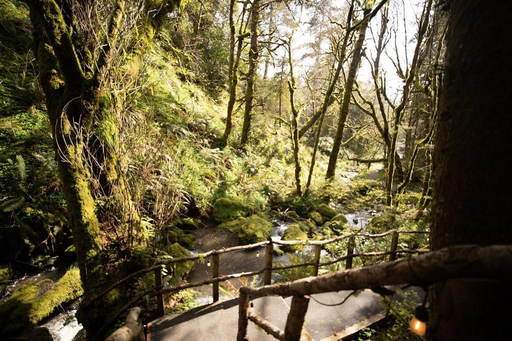 Taylor Creek Lodge Gold Beach Extérieur photo