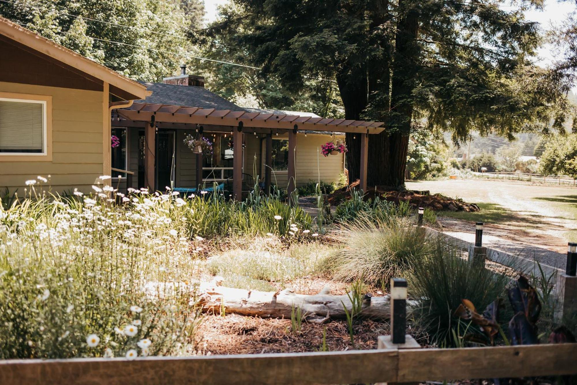 Taylor Creek Lodge Gold Beach Extérieur photo